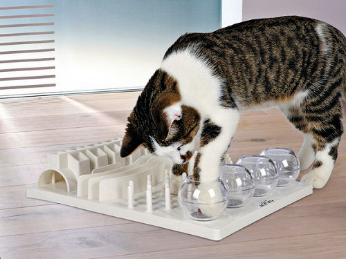 stimulating cat toys