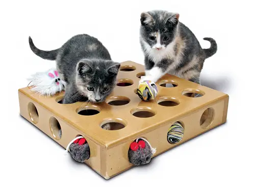 Top 10 Cat Toys for Active Cats - The 