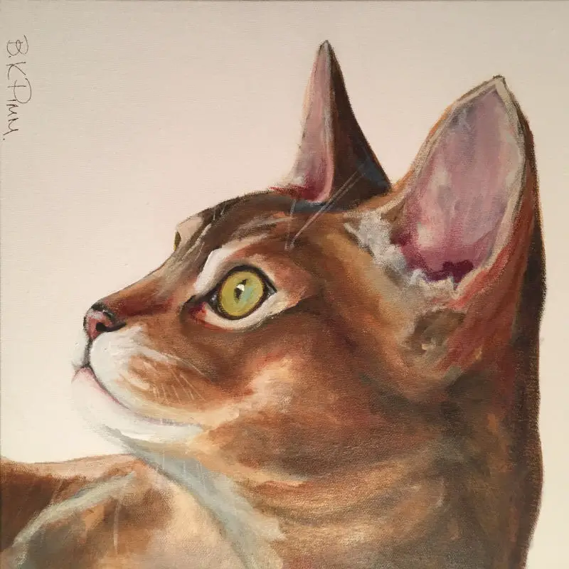 Fine Art Portraits of Cats – The Purrington Post
