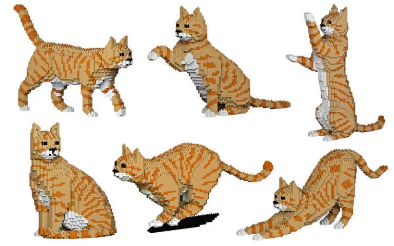 Orange Tabby Cat Lego Kits – The Purrington Post